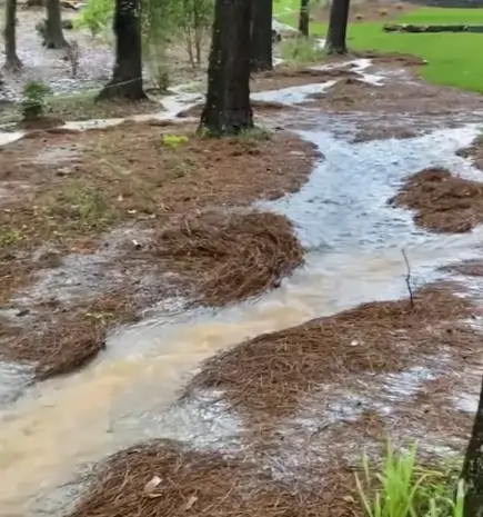 Flooded Yard/Drainage System Cleaning In Tempe